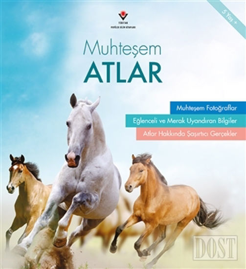 Muhteşem Atlar